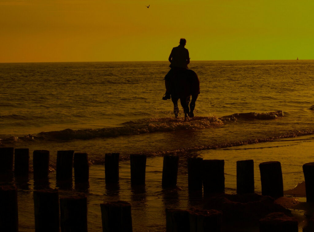 horseback-riding-at-sunset-1352504-1278x945-jpg-scaletype-1-width-1200-height-1200-ext_1171883832.jpeg