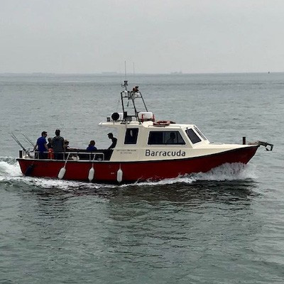 zeevissen-op-de-boot-barracuda-2bkopie-jpg-scaletype-1-width-1200-height-1200-ext_3757218856.jpeg